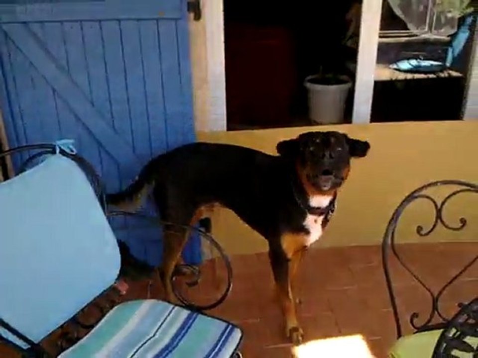 CIGALE ARES 1