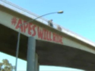 La Planète des singes  Les Origines - Viral Video - ageddon on the Mulholland Bridge