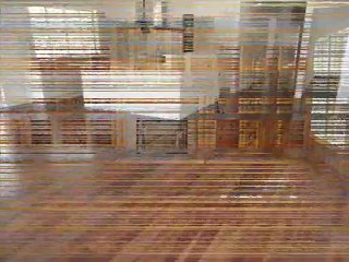 Increasing fame of bamboo floors