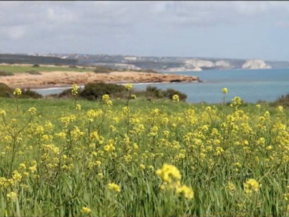 fantastic  beaches around Pissouri cyprus