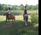 Lise cours poney 06 2011