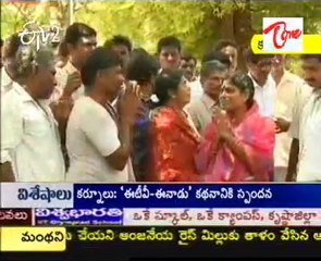Y.S. Vijayamma examines damaged mango crop