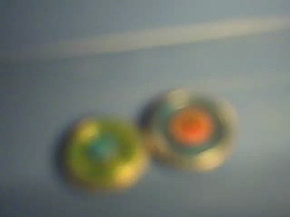 Storm Pegasus vs Thunder Libra 1-0