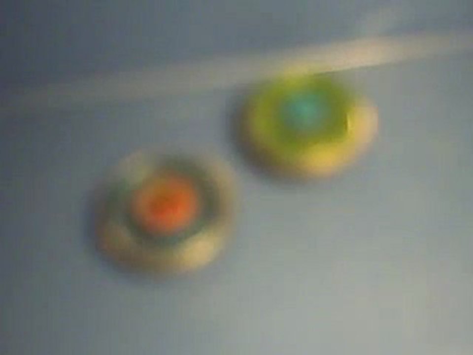 Storm Pegasus vs Thunder Libra 2-0