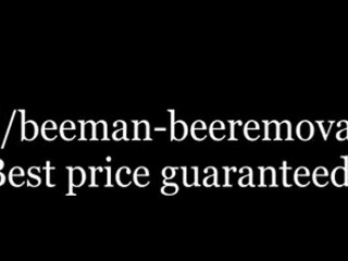 BeeMan-Bee Removal, local expert bee removal and home repair