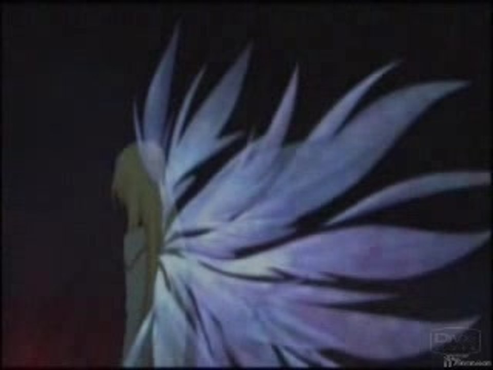 tales of symphonia amv