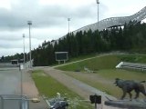 Holmenkollen Oslo -Norveç