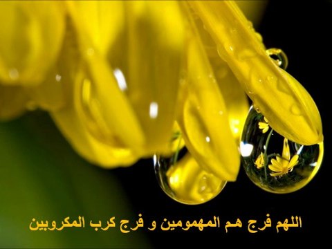 trés trés Belle Douaa du Sheikh Mohammed Al Haidan