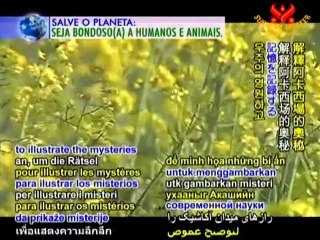 Professor Dr. Ervin László: Global Ethics and Consciousnes