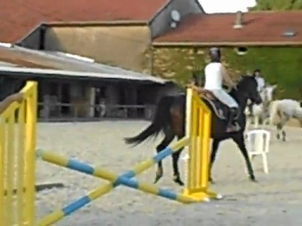 Cours obstacle 27 juin 2011 - 4