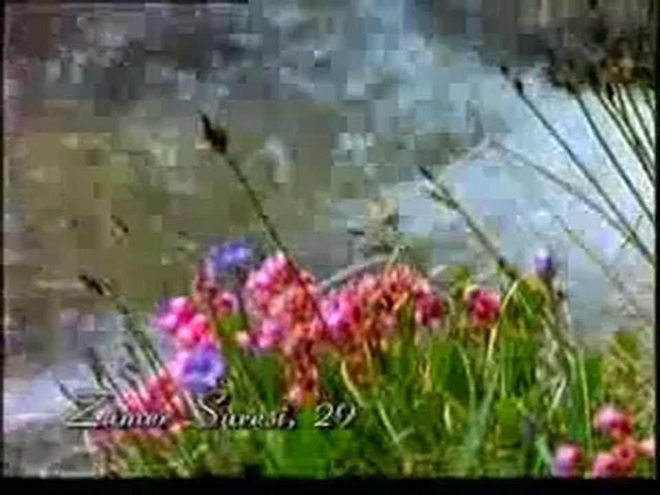 Kuran Meali: Zümer Suresi 21-40