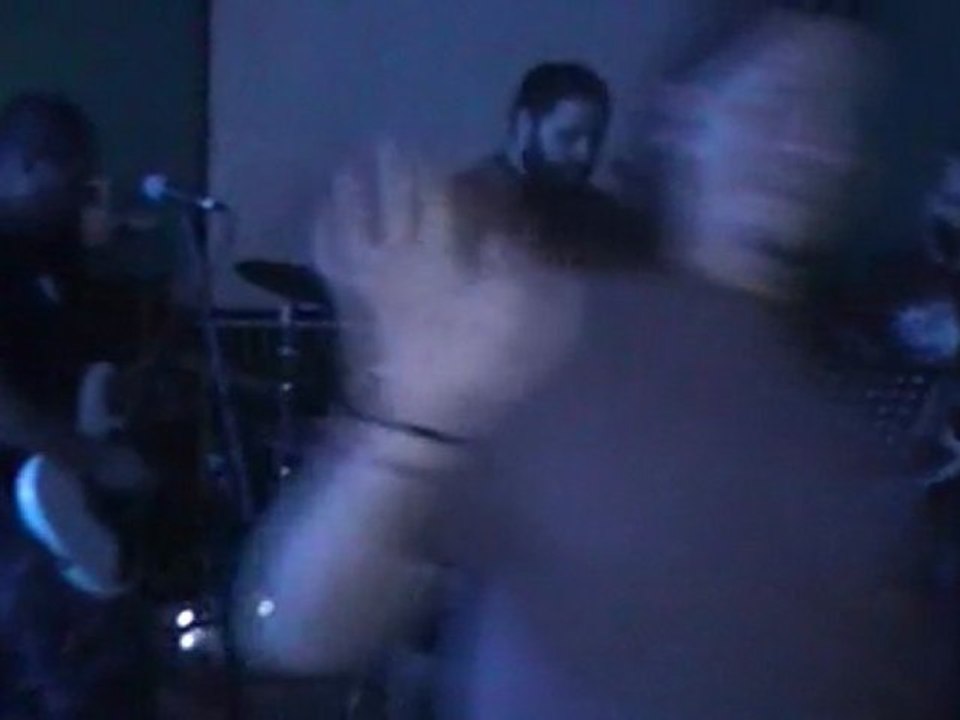 Fatalfary - Disfraz de tigre 11-06-2010