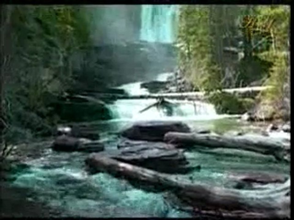 Peygamberimiz (sav) işlerinde Allah'a yönelip dönerek dua etmiştir