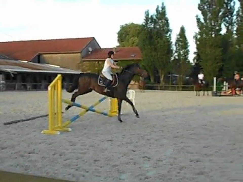 Cours obstacle 27 juin 2011 - 5