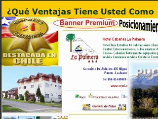 amarillas internet trabajo independiente