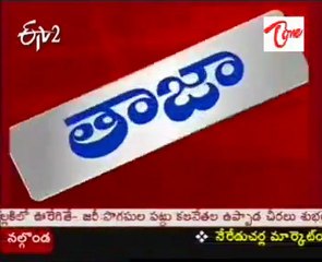 Short Circuit In Dwaraka Tirumala Temple, 20 Devotees Get Shocked