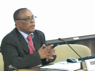 Keynote Talk - Microsoft  Ethiopia NGO Day 2011 - Ato Tessema Geda