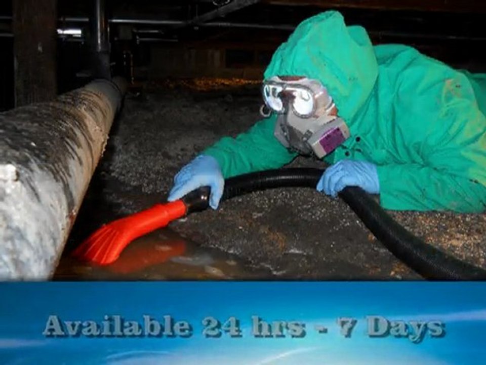 Los Angeles Water Damage Extraction, Call ESR, (800) 540-5543