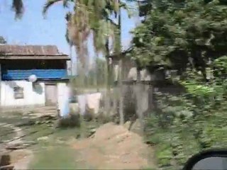 nepal mero timilai.... a short tour in eastern terai of nepal