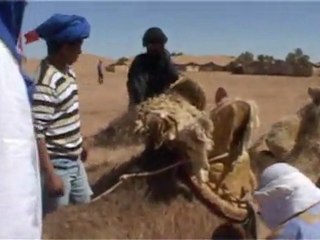 Festival International des Nomades : à la rencontre de la femme nomade