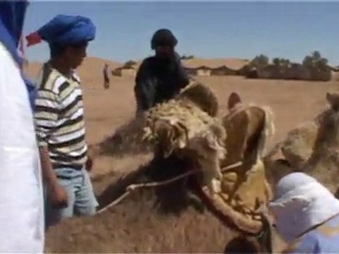 Festival International des Nomades : à la rencontre de la femme nomade
