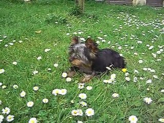 CIMG5848 D'JINNY 09 05 08