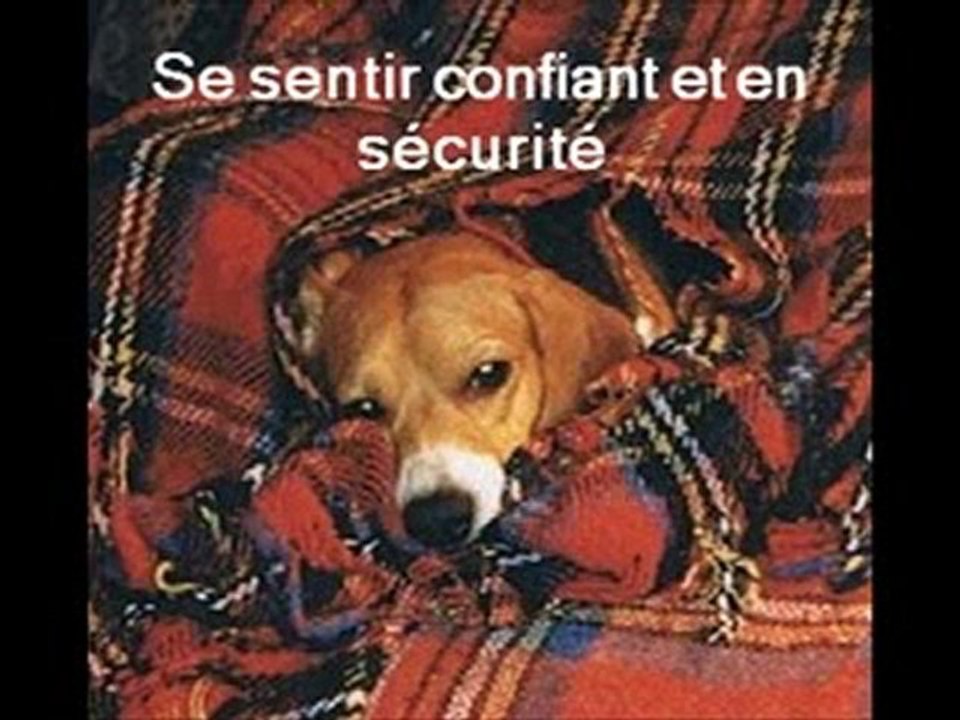 L'histoire de Lester Levenson