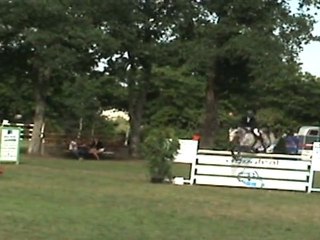 Day Dreamer E.S  GRAND PRIX du CSI**Challans 4 juiullet 2011