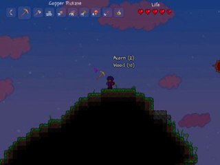 wt) Terraria 01 Mon premier jour et des morts