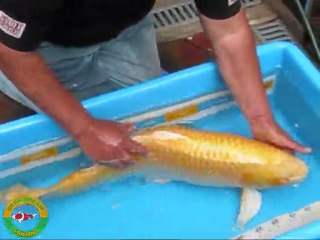 mete met han 17-07-2011