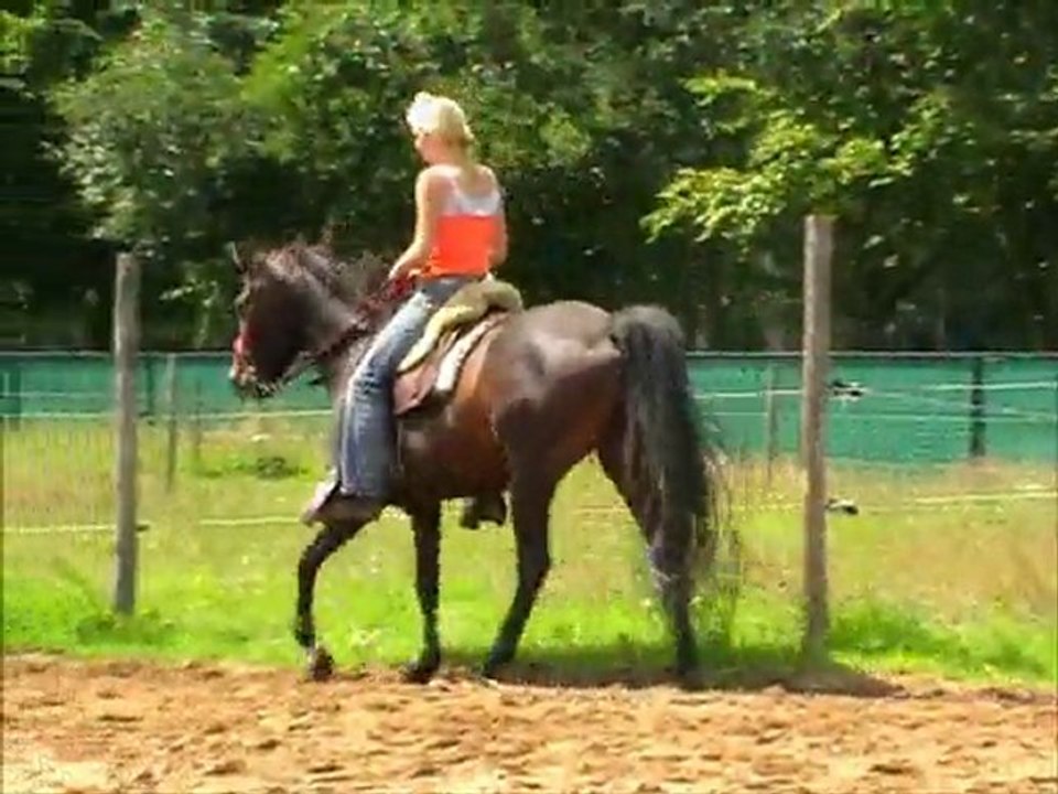 faeble