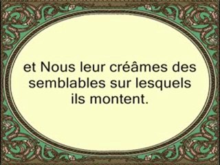 Sublime récitation Sourate Ya Sin du Sheikh Saad Ghamdy