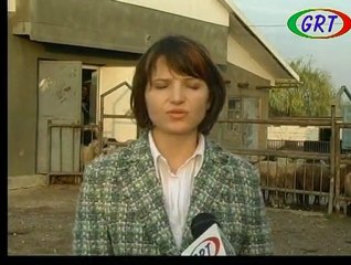 Alperen Ocakları Kurban Organizasyonu 2010 Gagavuzya