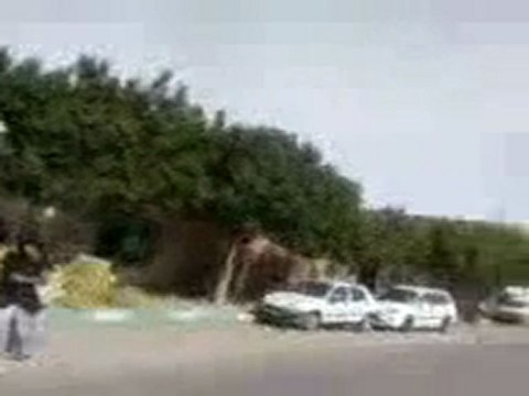 avenue bourguiba chorban mahdia tunisie