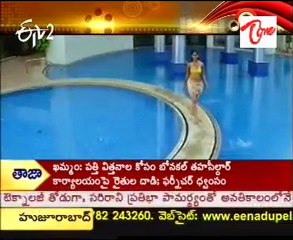 Anushka,Nayanthara,Trisha vs Telugu Heros