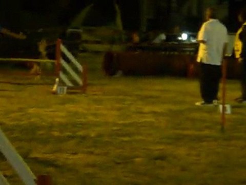 Brooks Jumping Blagnac 160711