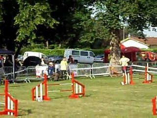 selectif trophée par équipe 2011