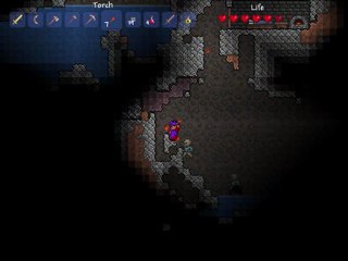 wt) Terraria 03 suite de l'exploration