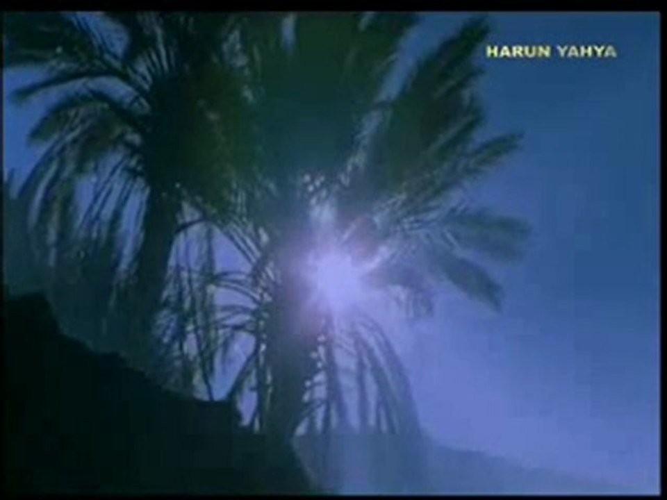 Peygamberlerin ve salih müminlerin örnek tevekkülü