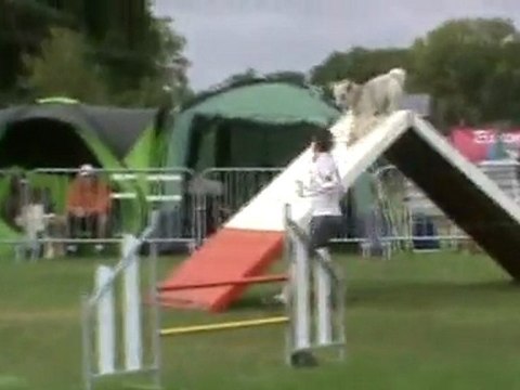 Choco Open Ingré 07 2011