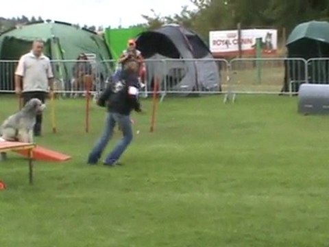 E.mail 1er degré Ingré 07 2011