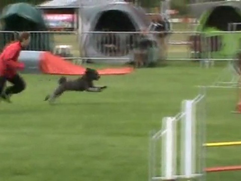 Echo 1er degré Ingré 07 2011