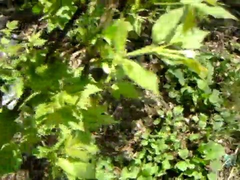 Под руководством Партии Регионов. На Донбассе