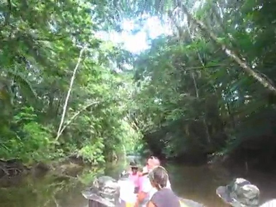 Pirogue sur la crique Gabriel