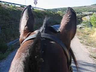 balade ak jenifer juillet 2006