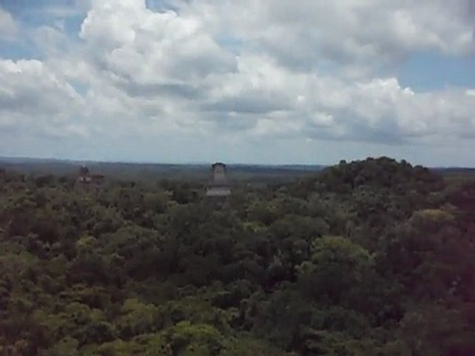 Tikal vue du haut du temple IV
