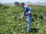 Ardahan nebioğlu köyü hoçvan ve KÜRTÇE MÜZİK @Mehmet ali arslan GRUP