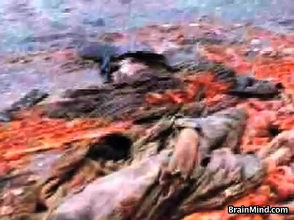 2_2 The 1989 Chinese Student Demonstration