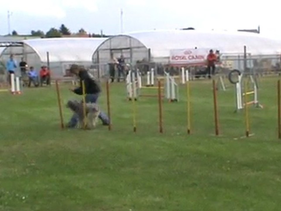 E.mail Jumping Ingré 07 2011