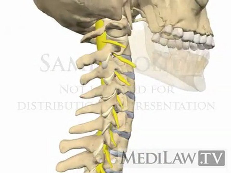 Cervical Spine Movement Rotation physiotherapy patient education ...